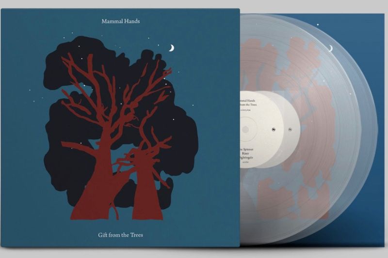 Mammal Hands' new album